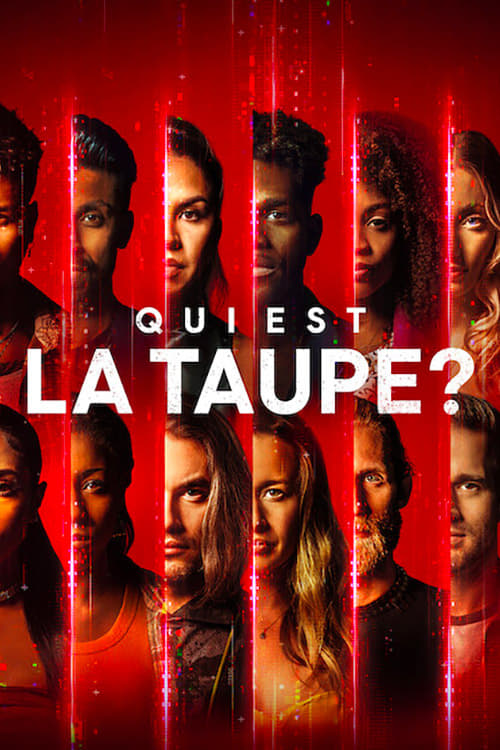 Qui est la taupe streaming gratuit vf vostfr 