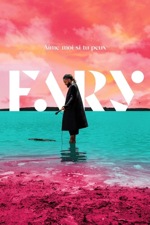 Fary Aime-moi si tu peux streaming gratuit vf vostfr 